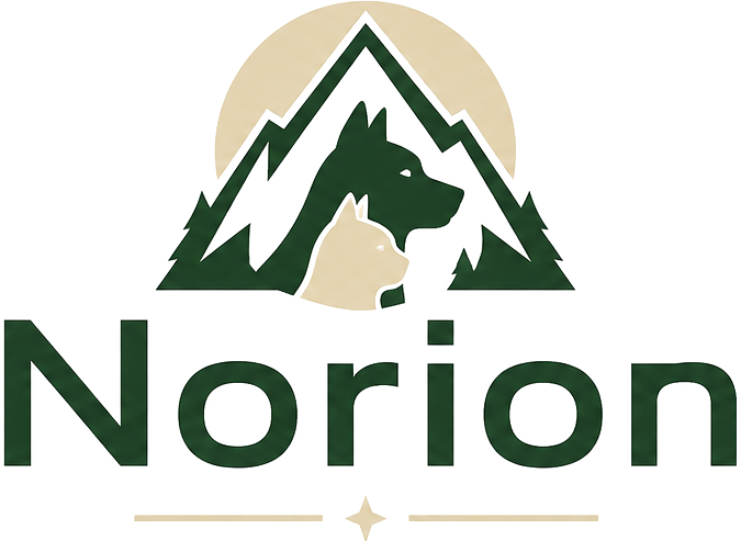 Norion